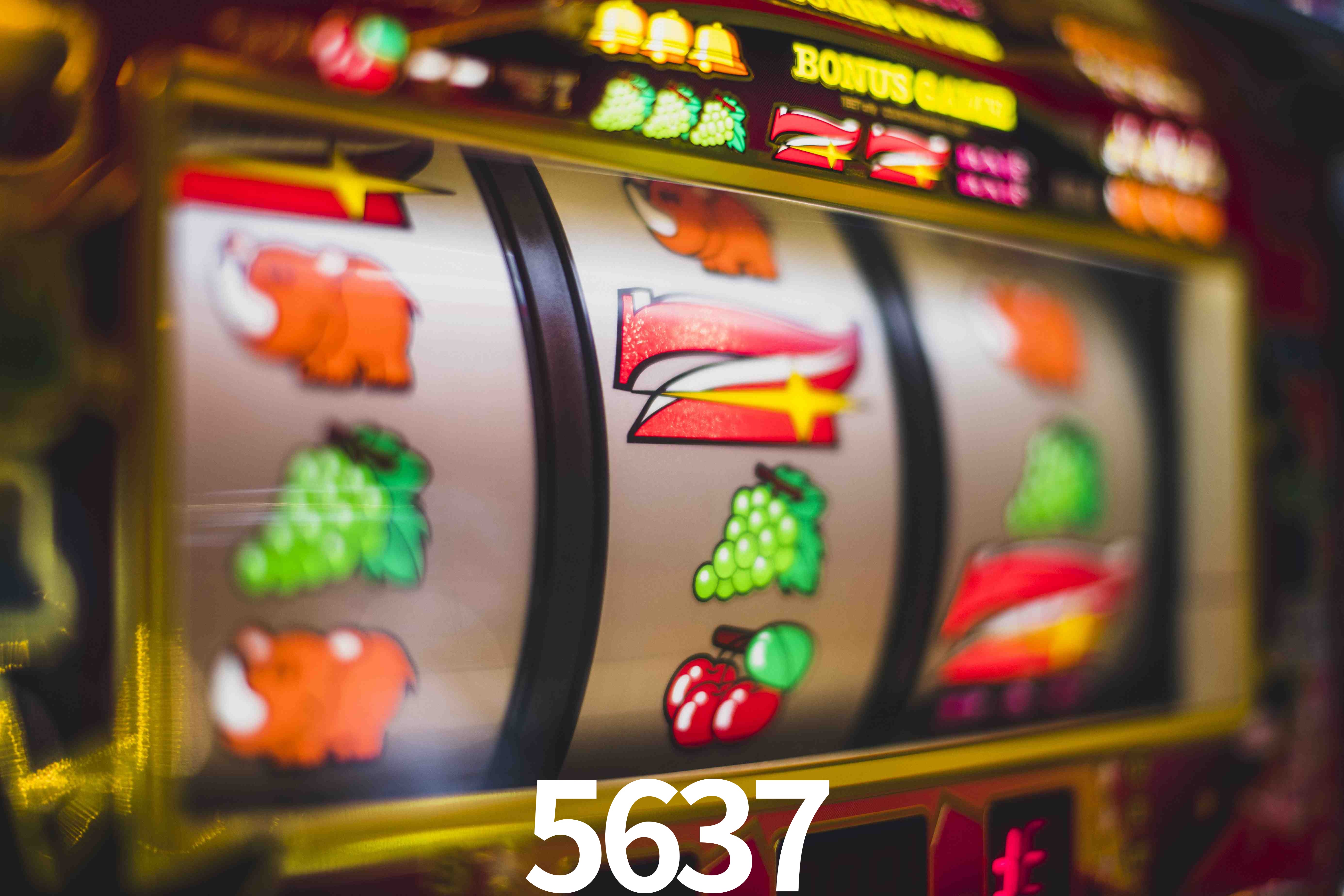 Basketball Betting 5637